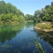 ciclopista-del-sile Lungo la ciclopista del sile con le sue piante e la sua acqua verde