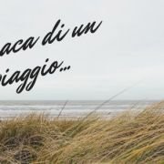 titolo articolo cronaca di un viaggio con sfondo mare e fili d'erba secchi